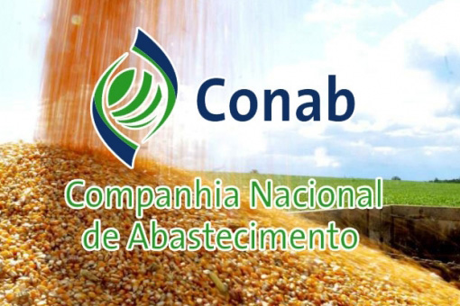 Conab disponibiliza sistema de leilões para compra de café