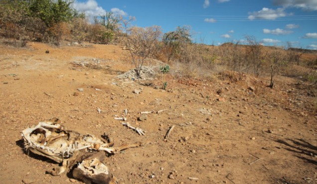 Quem responderá pelo apagão climático no Brasil?